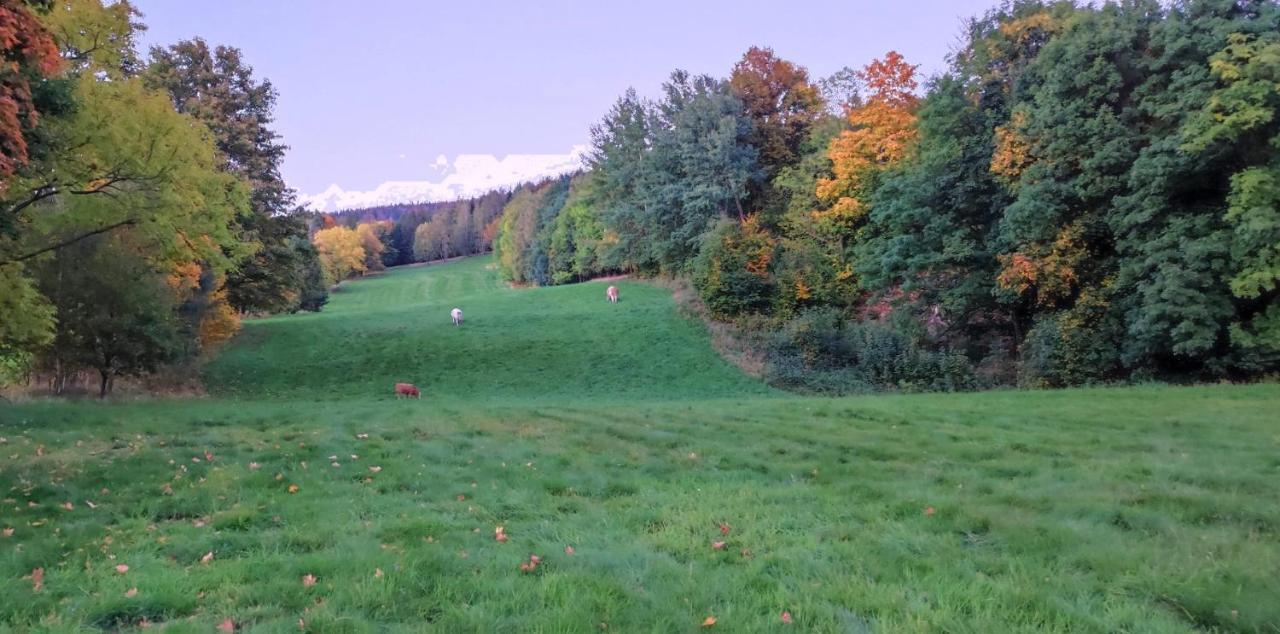 Apartmán u Potoka Weissbach Esterno foto